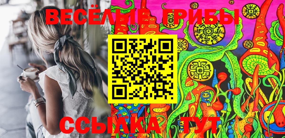 Псилоцибиновые грибы MAGIC MUSHROOMS  Вход с VPN  Усинск 